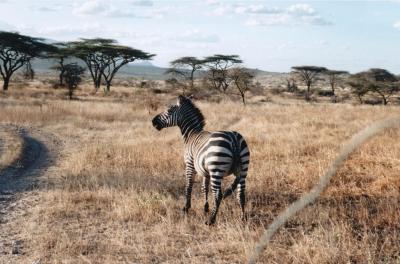 climate Change and Natural Heritage
