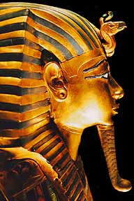 TuT side view