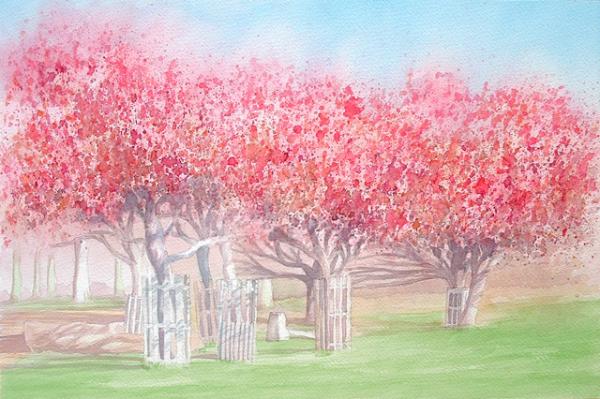 Blossom in Richmond Park