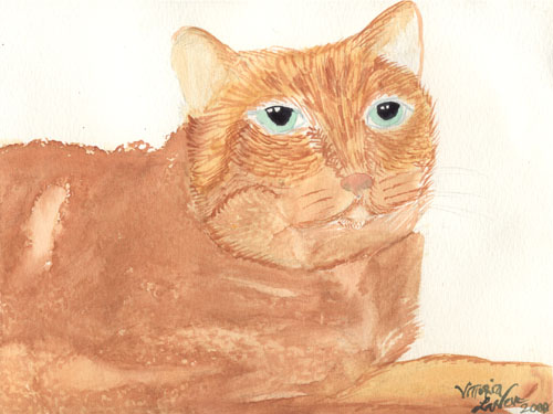 Furry Cat