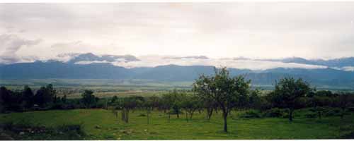 Caucasus