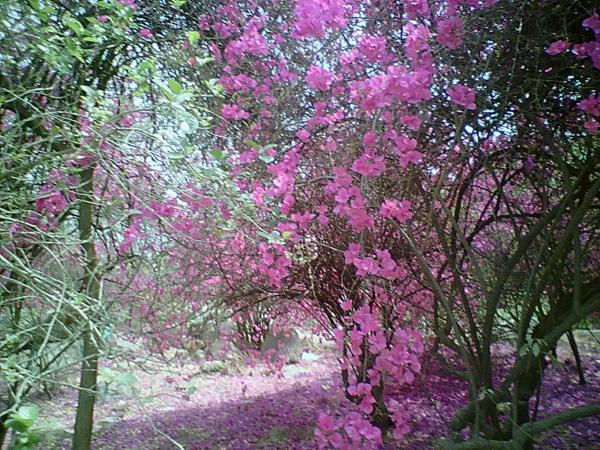 University Park