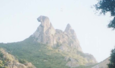 Galinha Choca