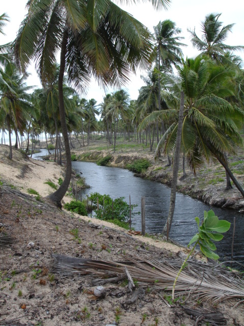 Rio Negro / Black River