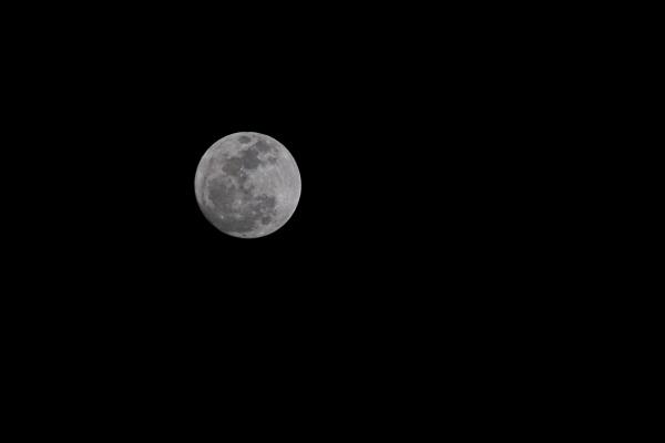 Moon