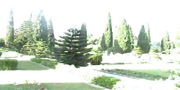 green environment