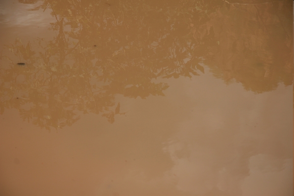 Protégeons la nature