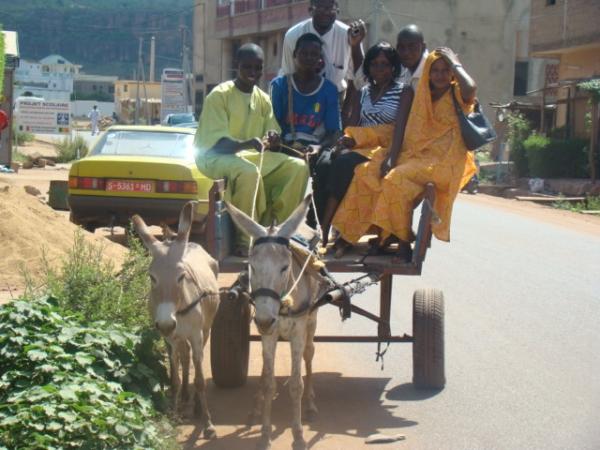 transport