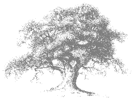 Cool shadow of Information & Communication Technology