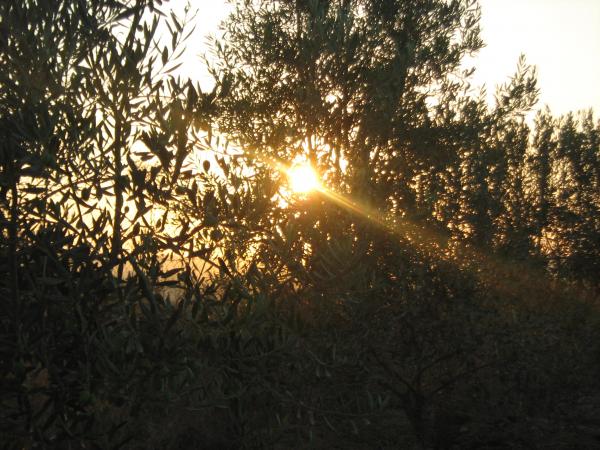 صورة معبرة