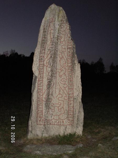 Near Västeras_Vikings