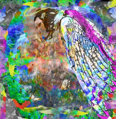 Macedonia Angel