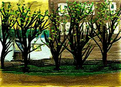Spring