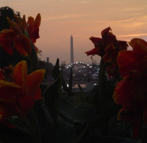 Flowers & Monument