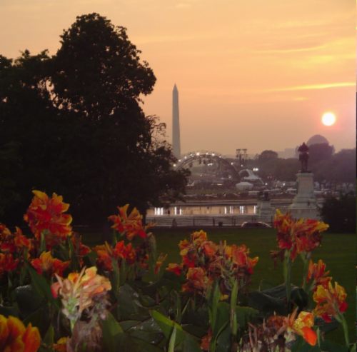 Flowers & Monument 2