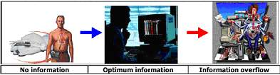 The Evolution of information Society