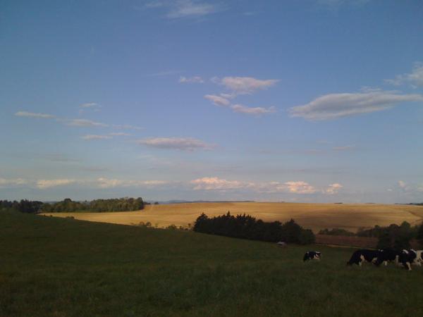 Chapecó's Nature