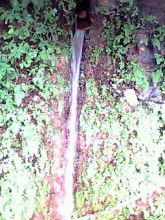 Water Fall