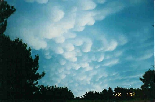Algodones del Cielo I