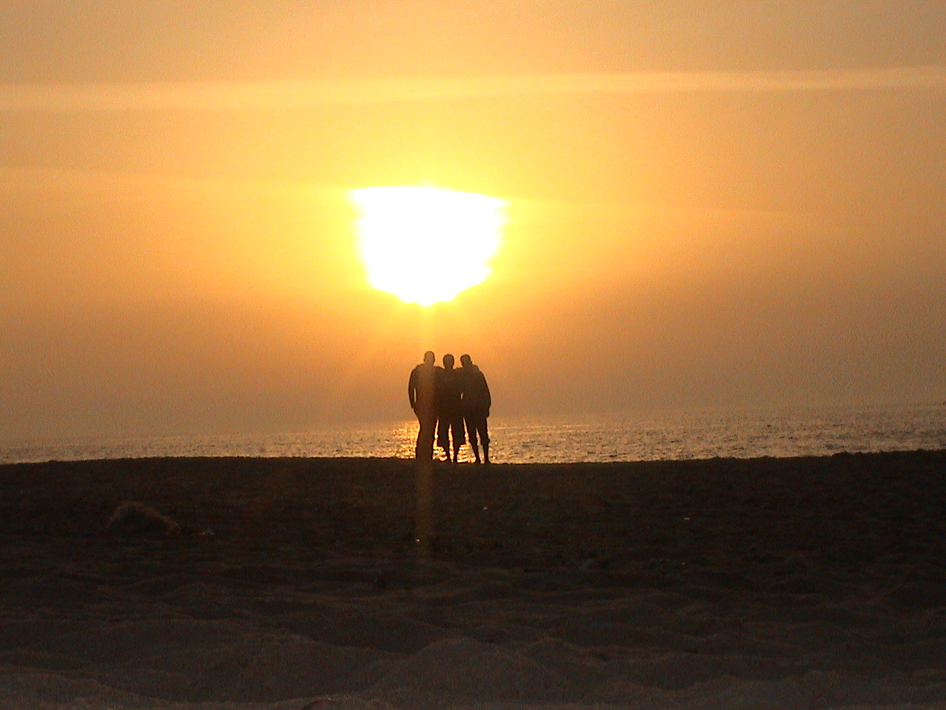شمس غزة 3