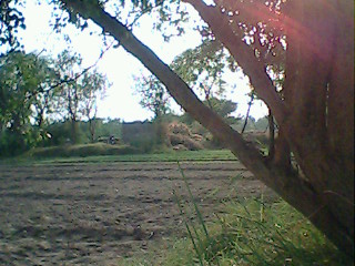 A Evening in village