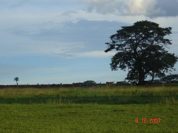 Campo e Céu