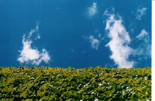 Entre el Cielo y la Tierra
