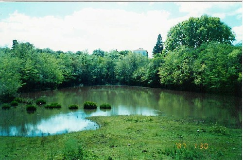 Laguna en Ascochinga - Pcia. C