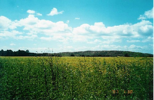 Campo en Ascochinga - Pcia. Córdoba