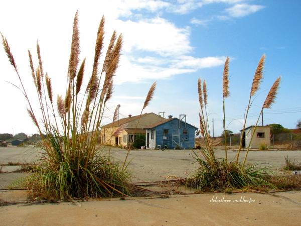The Foreclosure!