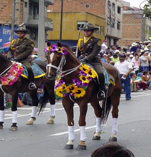Medellin's Flowers Festival 7