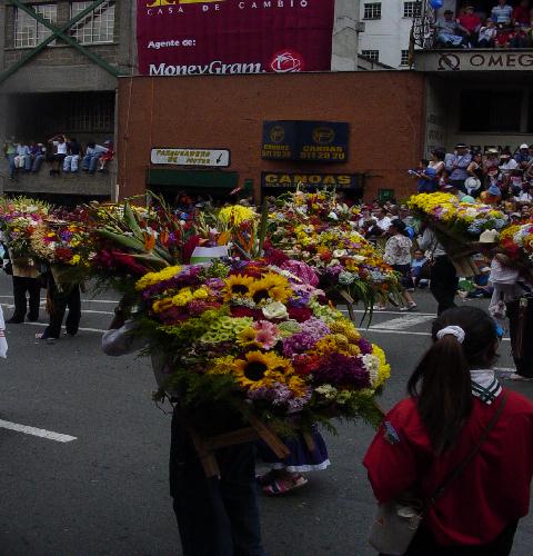 Medellin's Flowers Festival 9