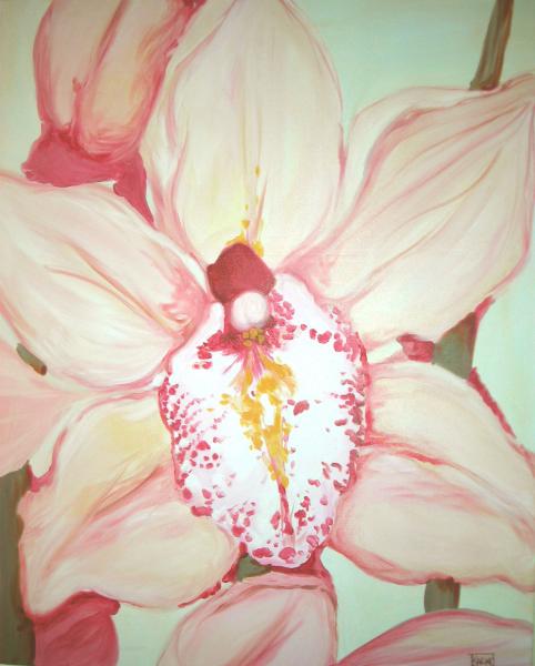 Orchidées I