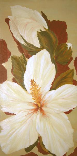 hibiscus
