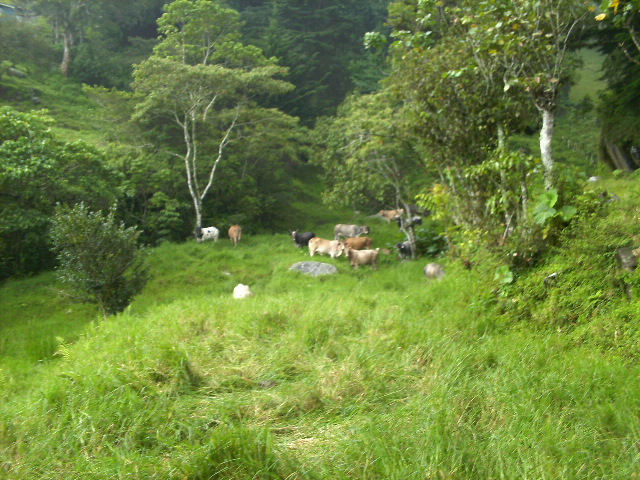 Mi tierra dos