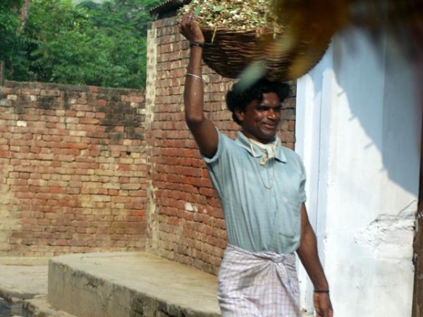 The laborer