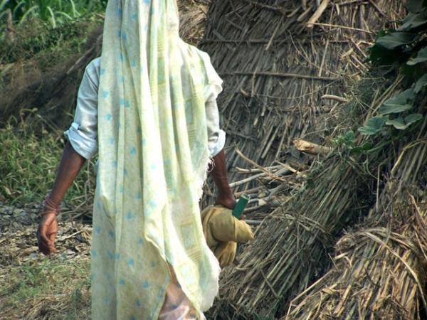 The lady grass cutter