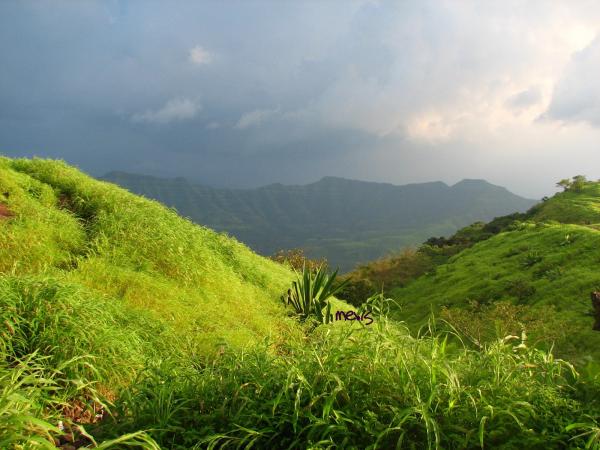 Lush-Green Sinhagarh!