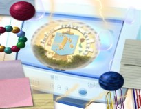 The Computer
