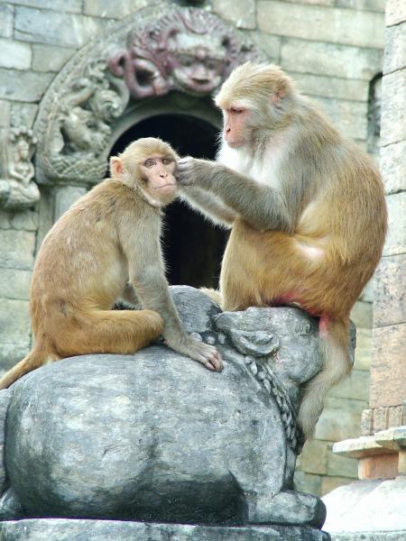 Loving and Caring