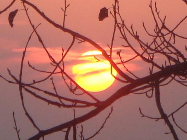 Sheikhs Mountain-Peacefull sunset