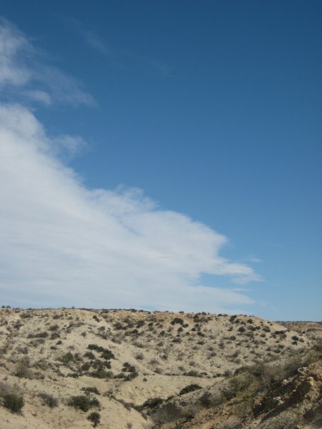 Avanza