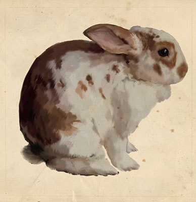 Arte Animalista y Naturalista