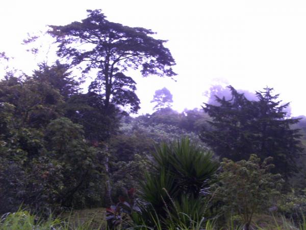 Mi tierra dieciseis