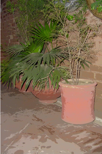 Pots