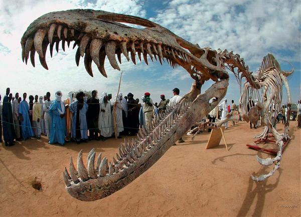 Sahara mysteries