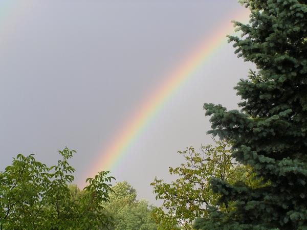 nature could save us....if only we are aware of paying just a tiny spark of INTEREST