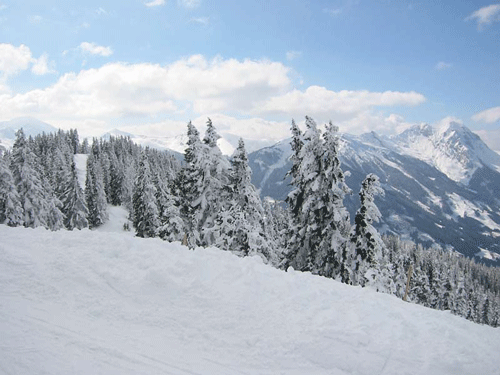 Winterwonderland