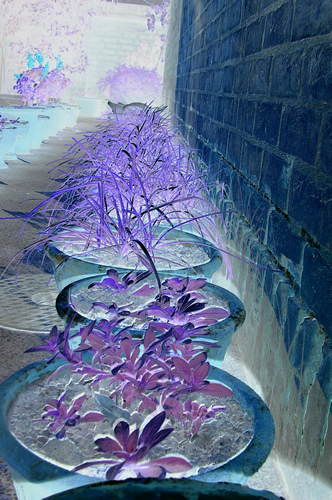 A Row of Pots