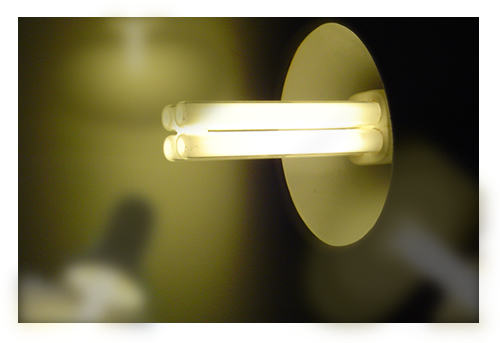 Light Bulbs